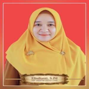 Elisdianti, S.Pd