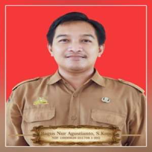 Bagus Nur Agustianto, S.Kom